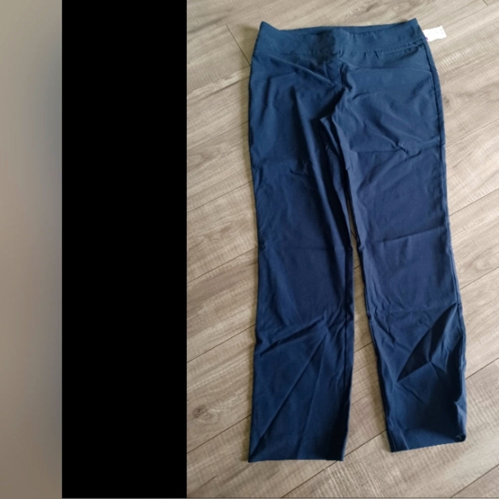 Hillary radley  pants color blue size 8 stretch
